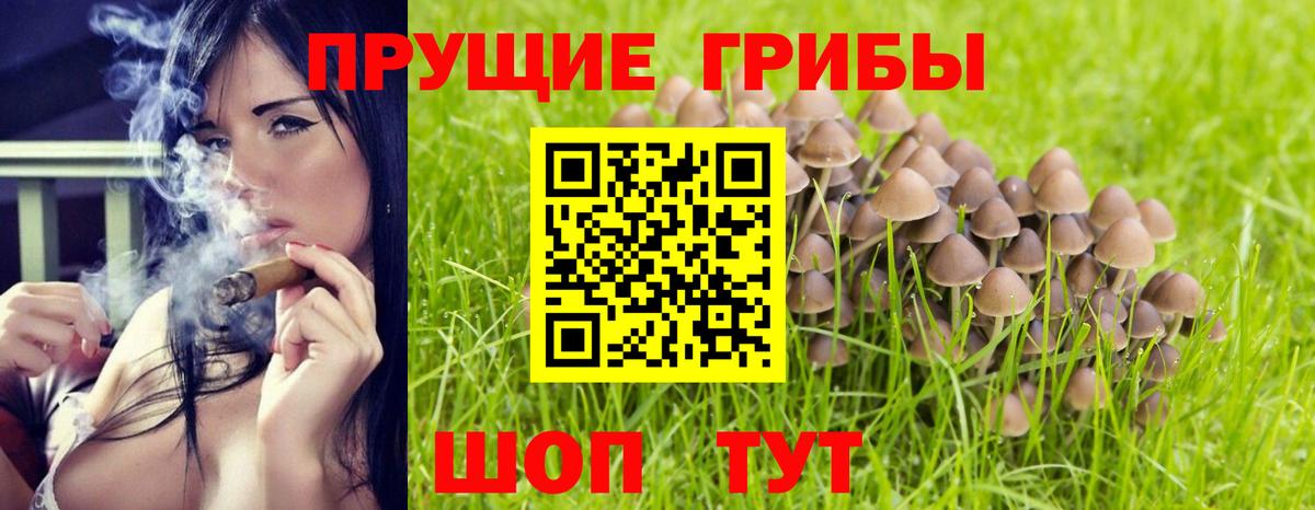 Сибай  Псилоцибиновые грибы мицелий  Вход с VPN  Псилоцибиновые грибы Cubensis 